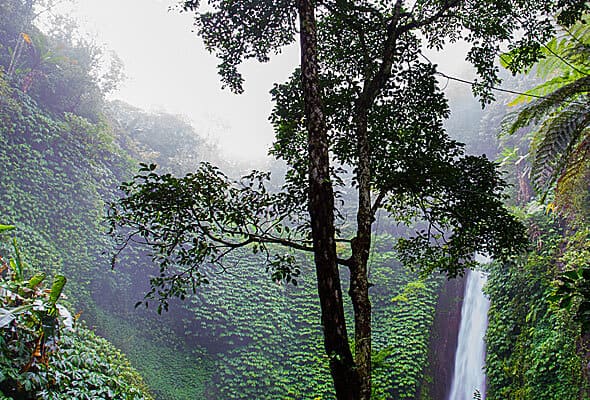 Projects img 07 free img